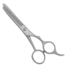 Professional Style Thinning Shears