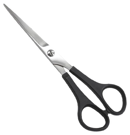 Barber Shears