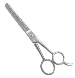 Professional Thinning Shears