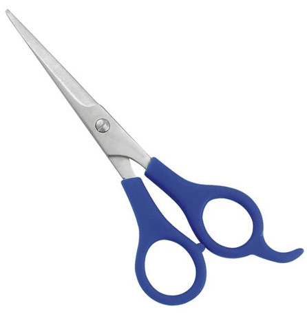 Barber Shears