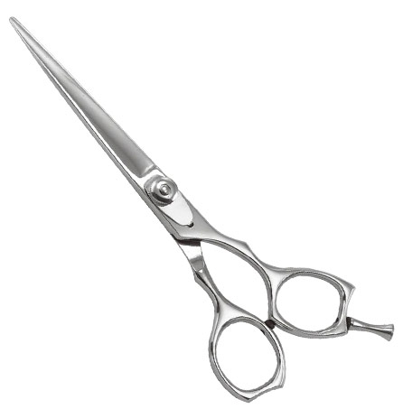 Professional Razor Shears