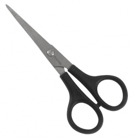 Barber Shears