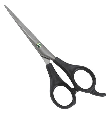 Barber Shears