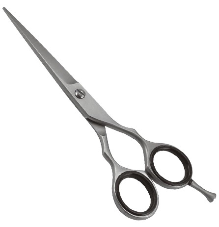 Professional Barber Shears