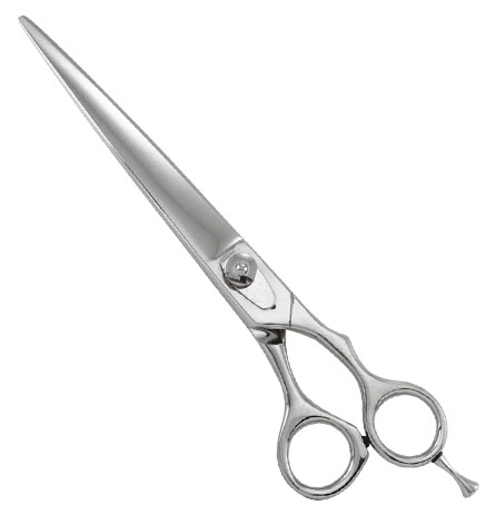 Professional Barber Shears