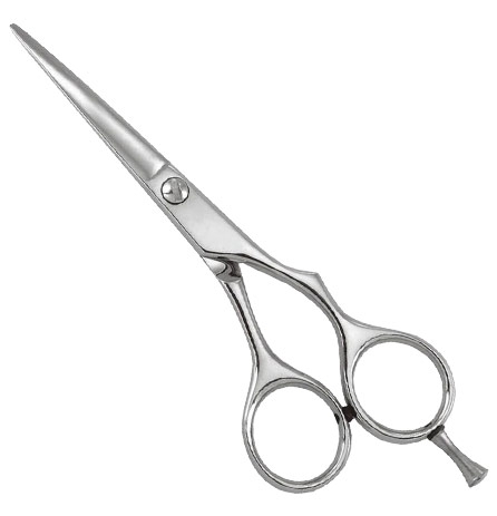 Professional Razor Edge Shears