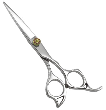 Professional Razor Shears