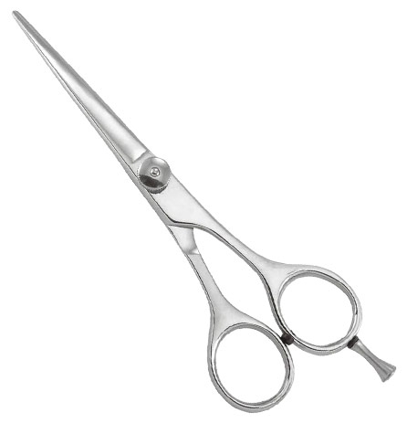 Professional Razor Edge Shears