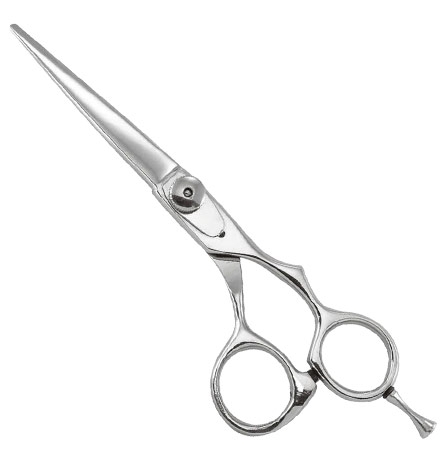 Professional Razor Edge Shears