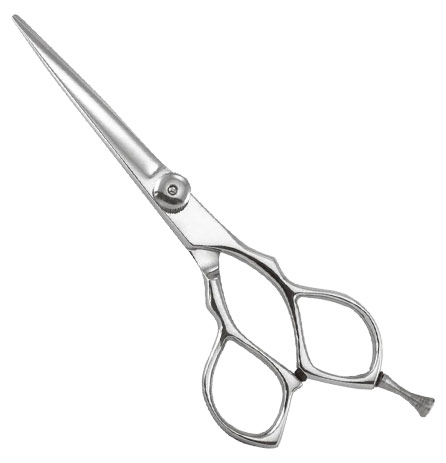 Professional Ninja Style Shears