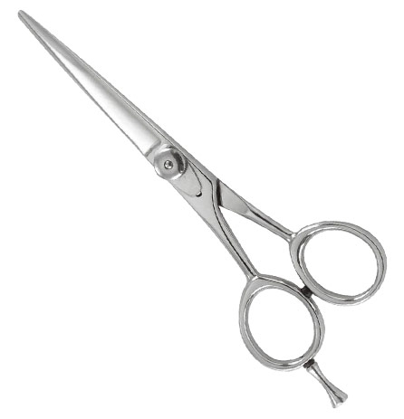 Professional Razor Edge Shears