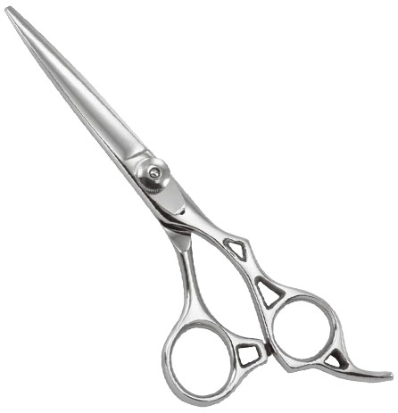 Professional Razor Shears